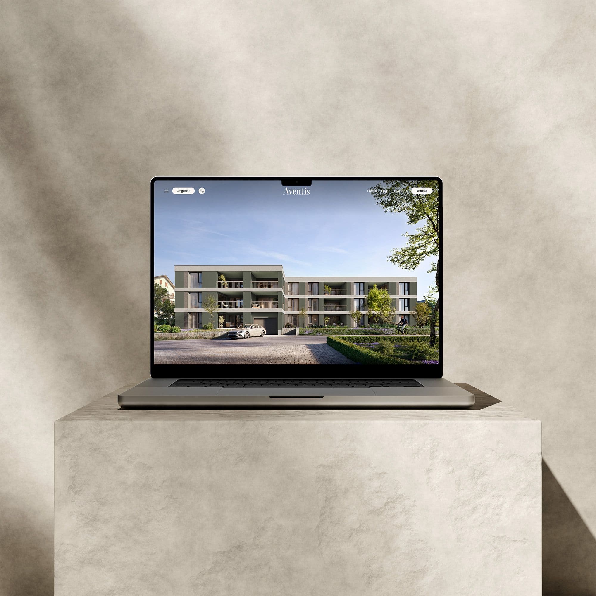 Project Websites